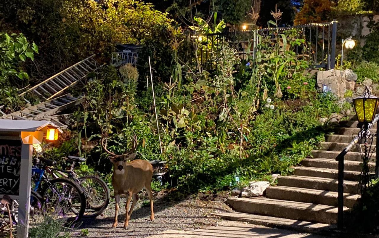 Hudson Homes Bnb Victoria Dış mekan fotoğraf